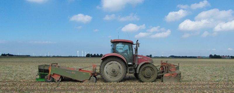Harrysfarm-Swifterbant-Flevoland-jaaroverzicht 2012-uirooivp