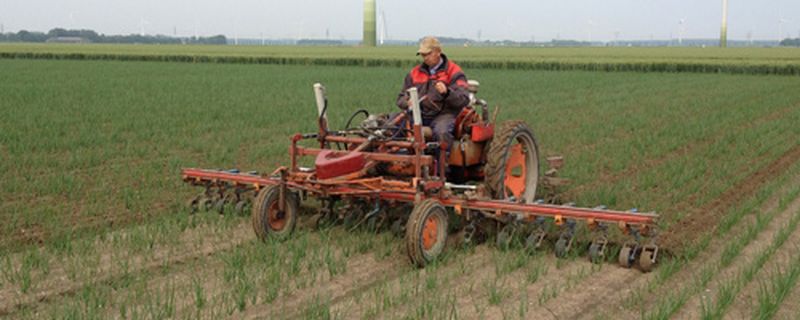 Harrysfarm-Swifterbant-Flevoland-jaaroverzicht 2012-uischoffel1vp