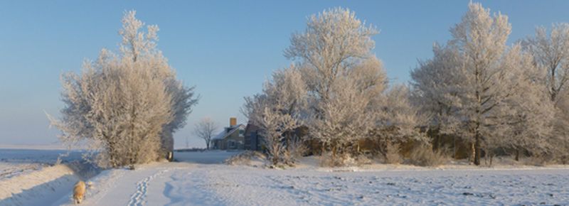 Harrysfarm-Swifterbant-Flevoland-jaaroverzicht 2012-winter1.jpg