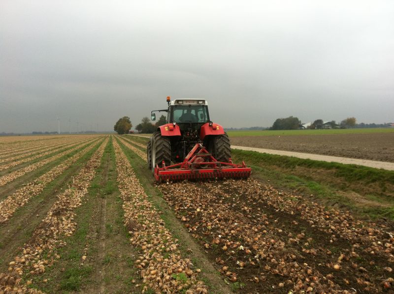 Jaaroverzicht 2011