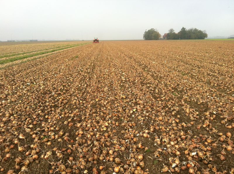 Jaaroverzicht 2011