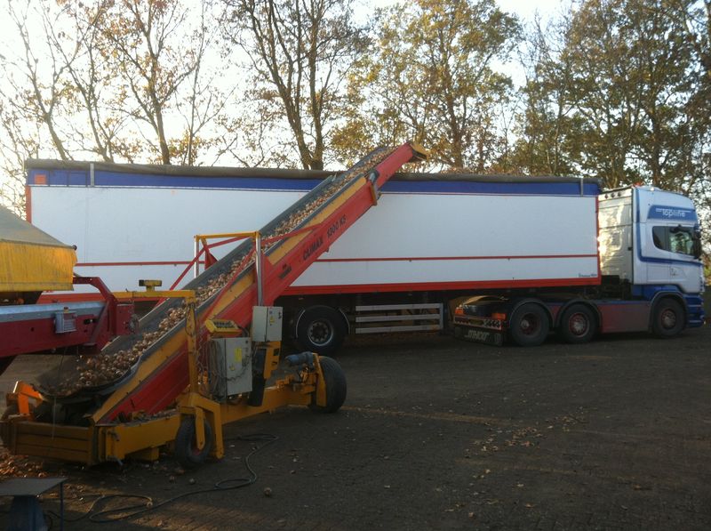 Jaaroverzicht 2011