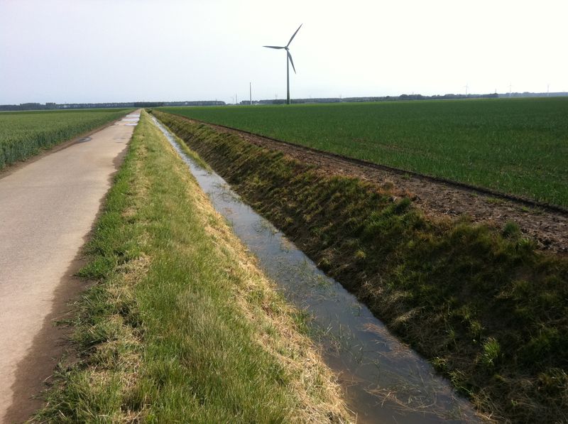 Jaaroverzicht 2011