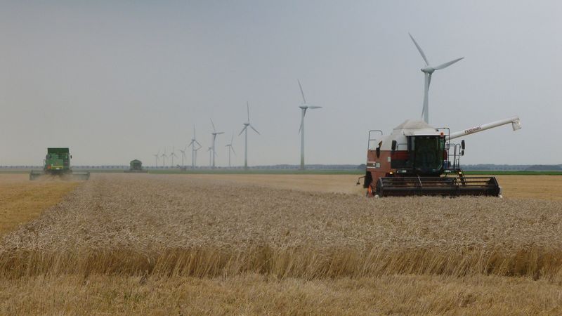 Jaaroverzicht 2011