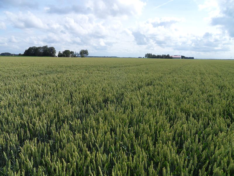 Jaaroverzicht 2011