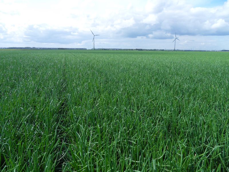 Jaaroverzicht 2011
