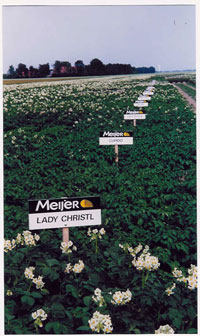 22 juli 2001; demoveld Meijer