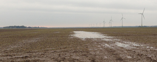 In het weekend van 11, 12 en 13 oktober werd het behoorlijk nat. 50 mm in totaal.