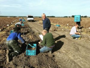 26 september 2016: proefveld aardappelen Semagri geoogst