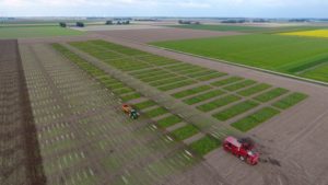 10 t/m 14 oktober 2016: suikerbietenproefveld gerooid