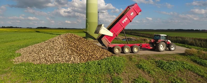 23 september 2016: suikerbieten rooien