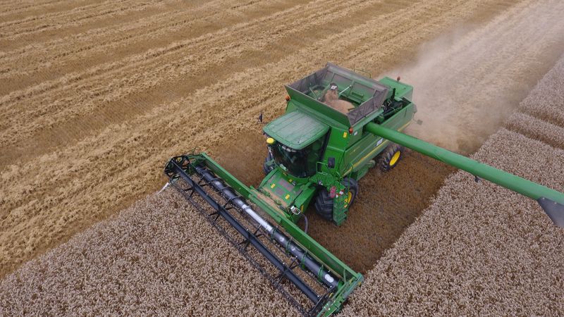 8 augustus 2016: dag 2 wintertarwe oogst