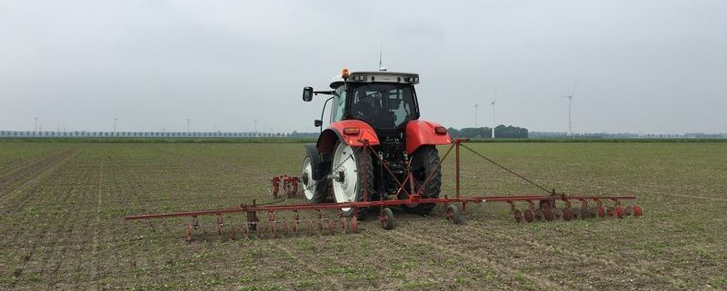 30 & 31 mei 2016: bieten proefveld dunnen