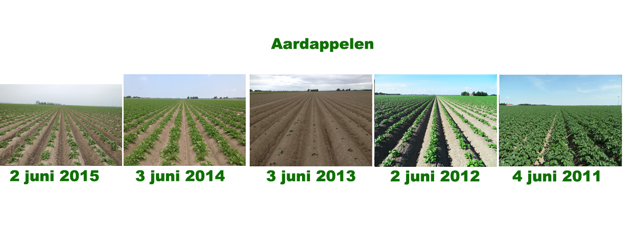 2 juni 2016: gewasgroei vergelijking laatste 6 jaar