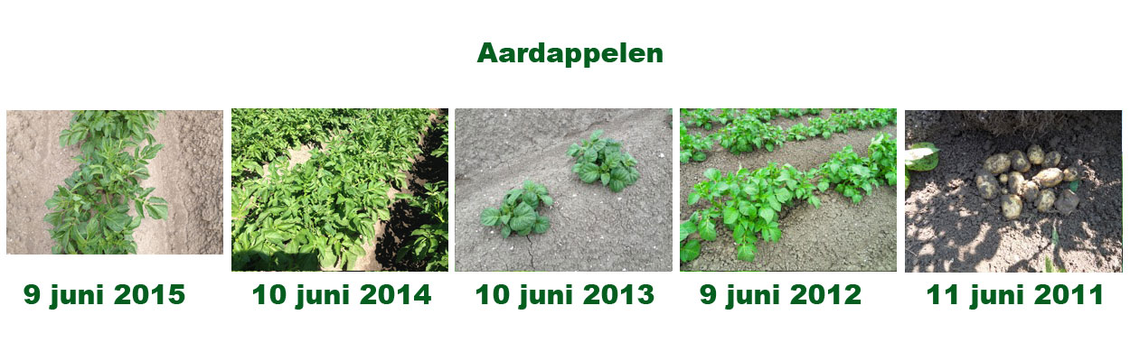 9 juni 2016: gewasgroeivergelijking laatste 6 jaar