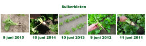 9 juni 2016: gewasgroeivergelijking laatste 6 jaar