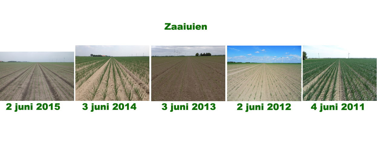 2 juni 2016: gewasgroei vergelijking laatste 6 jaar