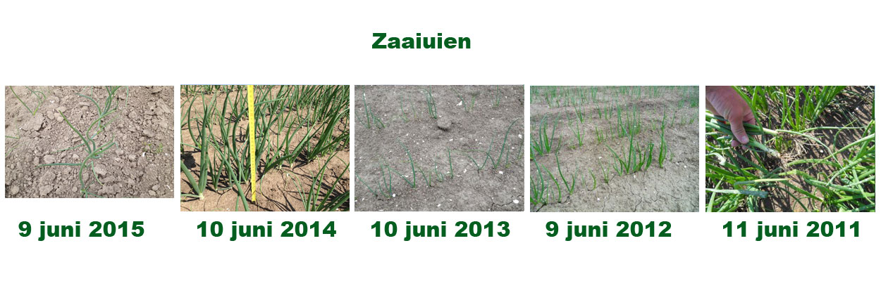 9 juni 2016: gewasgroeivergelijking laatste 6 jaar