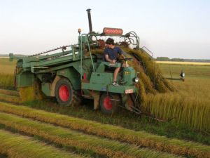 11 juli 2006: vlas trekken