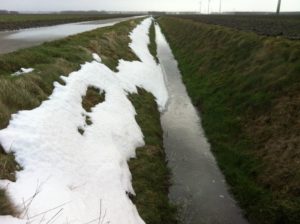 14 februari 2012: dooi ingezet