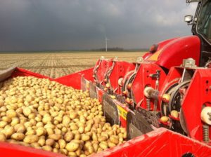 15 april 2012: weekoverzicht poten