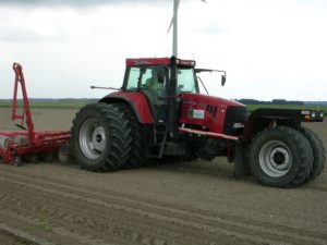 24 juni 2006: stamslabonen zaaien