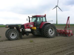 24 juni 2006: stamslabonen zaaien