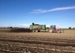 27 oktober 2012: compost strooien