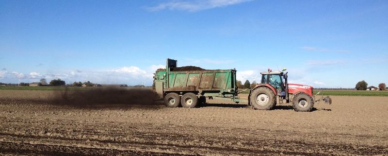 27 oktober 2012: compost strooien