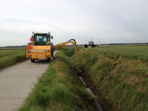 2 juli 2012: maaikorven
