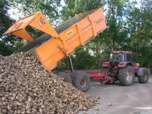 28 september 2005: suikerbieten oogst