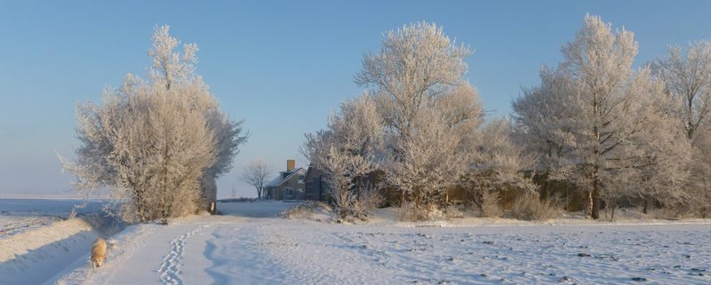 4 februari 2012: winters op Harrysfarm