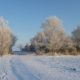 4 februari 2012: winters op Harrysfarm