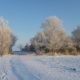 4 februari 2012: winters op Harrysfarm