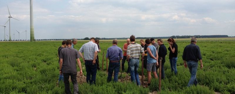 8 juli 2012: cursus bodem in zicht