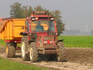 11 oktober 2006: Bildtstar rooien