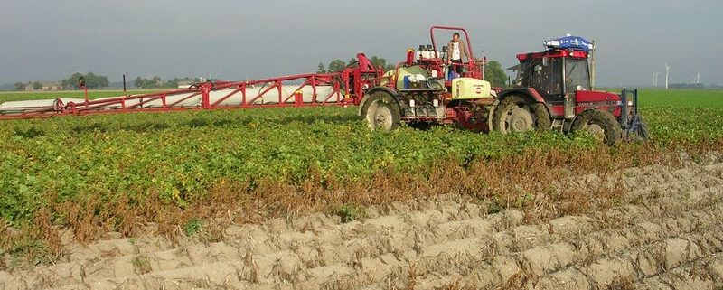 15 september 2006: plaatsspecifieke loofdoding in aardappelen