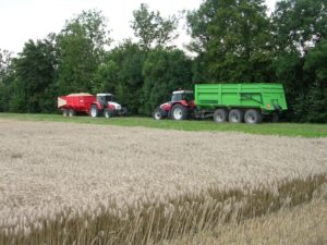 16 augustus 2006: oogst wintertarwe