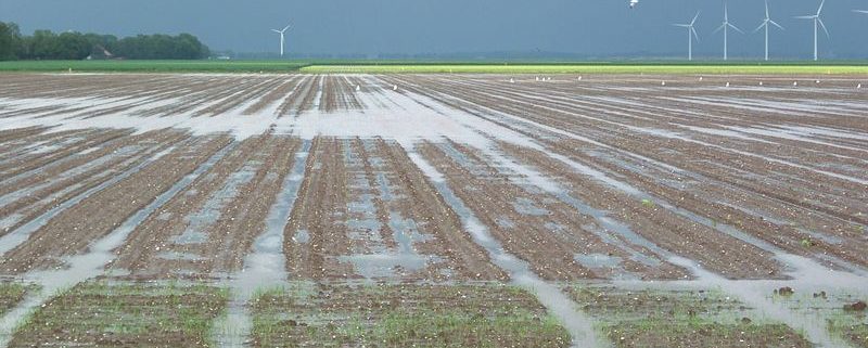 20 mei 2003: veel water