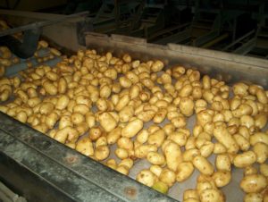 25 februari 2003: afleveren aardappelen