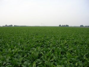 4 oktober 2006