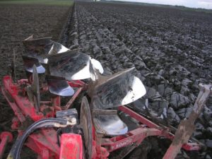 5 november 2006: suikerbieten rooien en ploegen