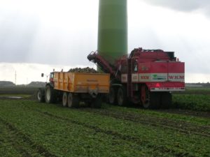 5 november 2006: suikerbieten rooien en ploegen