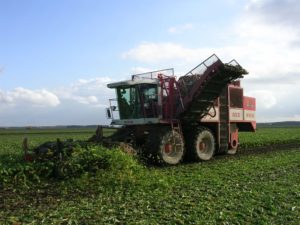 5 november 2006: suikerbieten rooien en ploegen