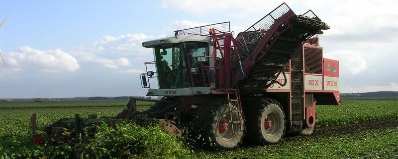 5 november 2006: suikerbieten rooien en ploegen