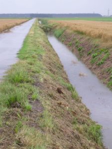 6 augustus 2006: natte week