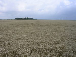 6 augustus 2006: natte week
