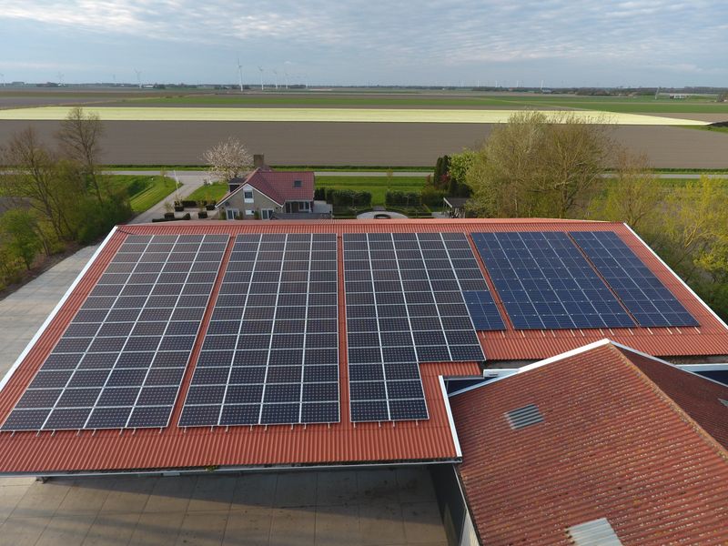 Zonnepanelen Harrysfarm