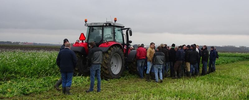 7 november 2016: demonstratie groenbemesters