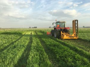 7 november 2016: demonstratie groenbemesters